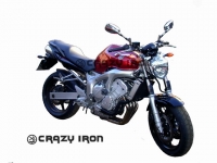 Слайдеры в ось заднего колеса CRAZY IRON 3081 для Yamaha FZ6 S/N (04-09)